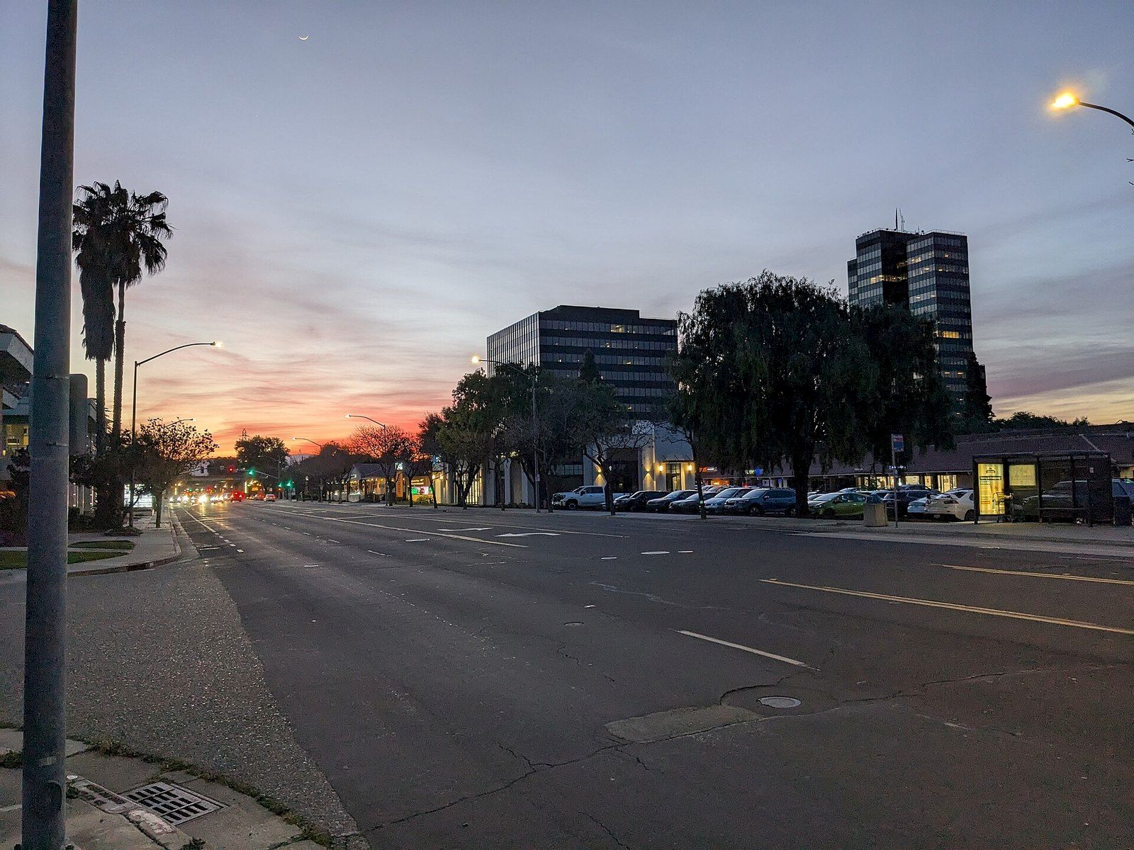 A city street at sunset with traffic lights, street lamps, palm trees, and office buildings lining the road.