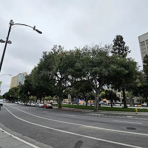 City street with cars, tall streetlights, and rows of green trees beside office buildings under a cloudy sky.