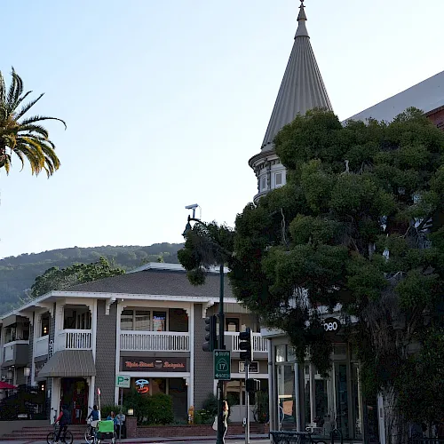 A sunny streetscape with tall palm trees and a church-like building, its steeple rising above nearby shops and signs.